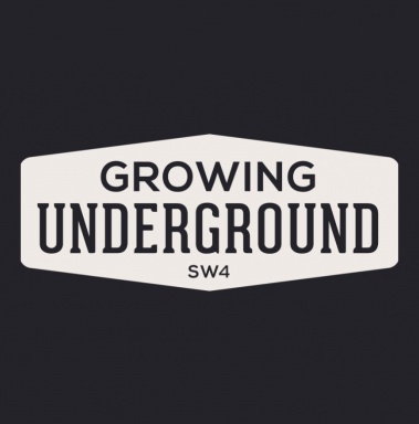 Growing logo